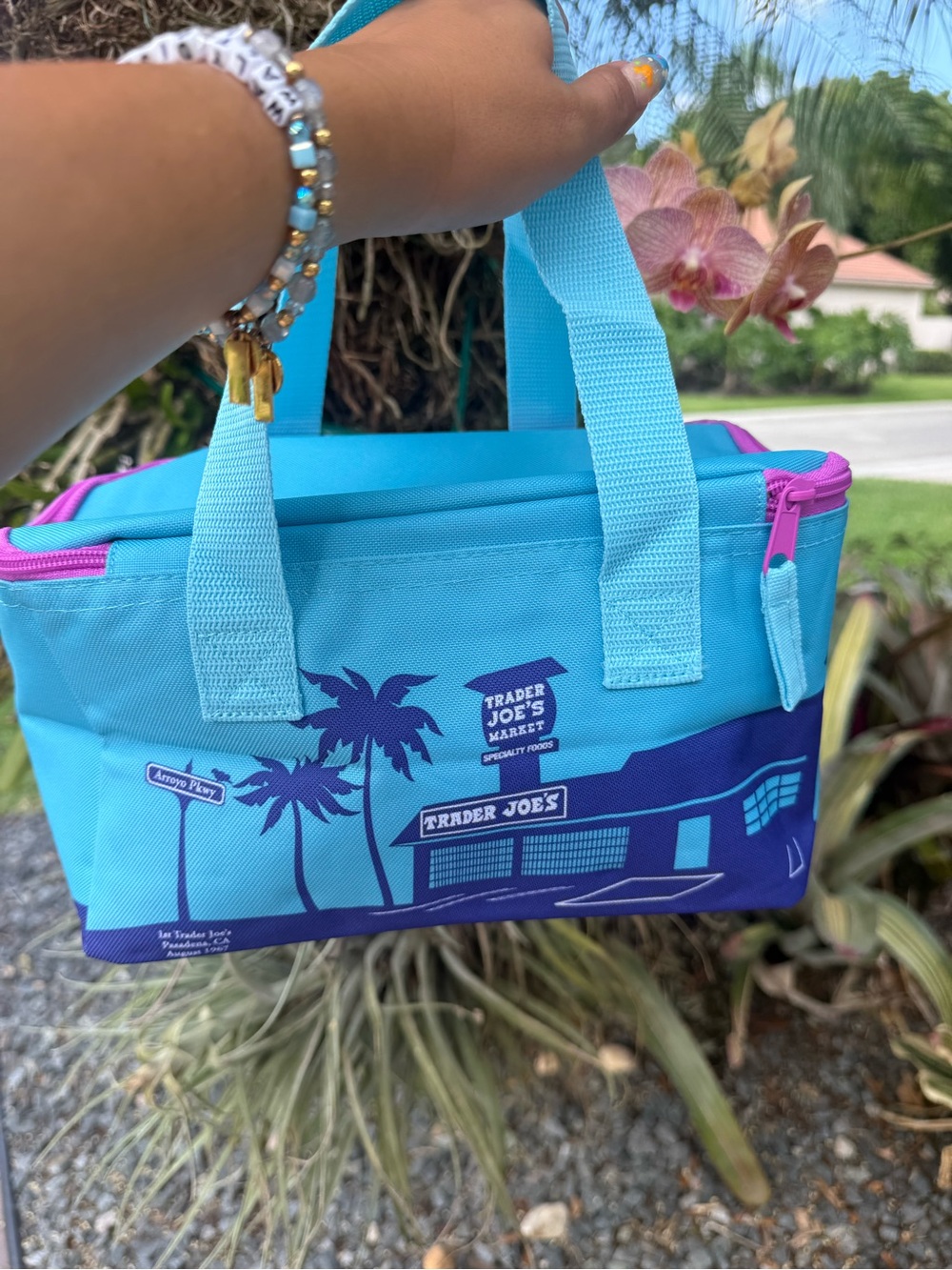 NWT | Trader Joe's Mini Insulated Bag in Turquoise & Pink - Picture 3 of 6